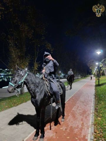 Всадник из Кисловодска ответит перед судом за нападение на пожилую пару