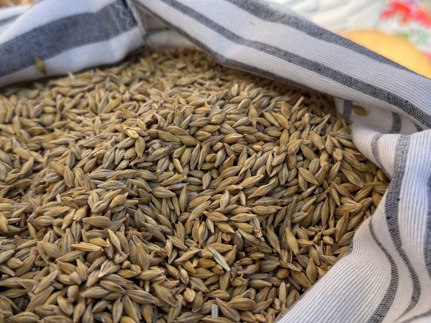 Почти 930 тыс. тонн сельхозпродукции экспортировало Ставрополье в 2025 году