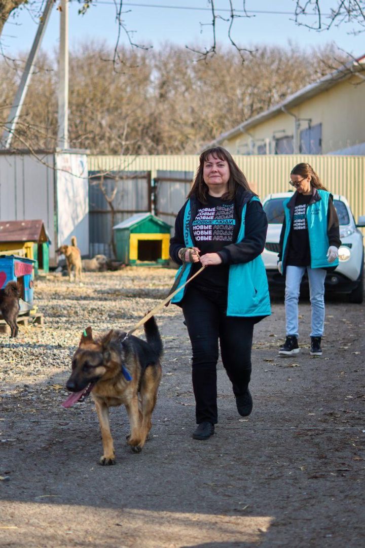 Партия «Новые люди» и фонд «Экосфера» подготовили к зиме приют «Лучший друг»