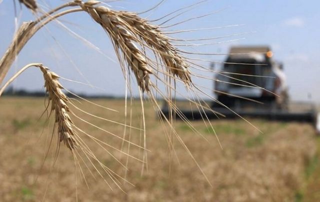 Дума Ставропольского края инициирует новые меры поддержки российских аграриев Дума Ставропольского края инициирует новые меры поддержки российских аграриев
