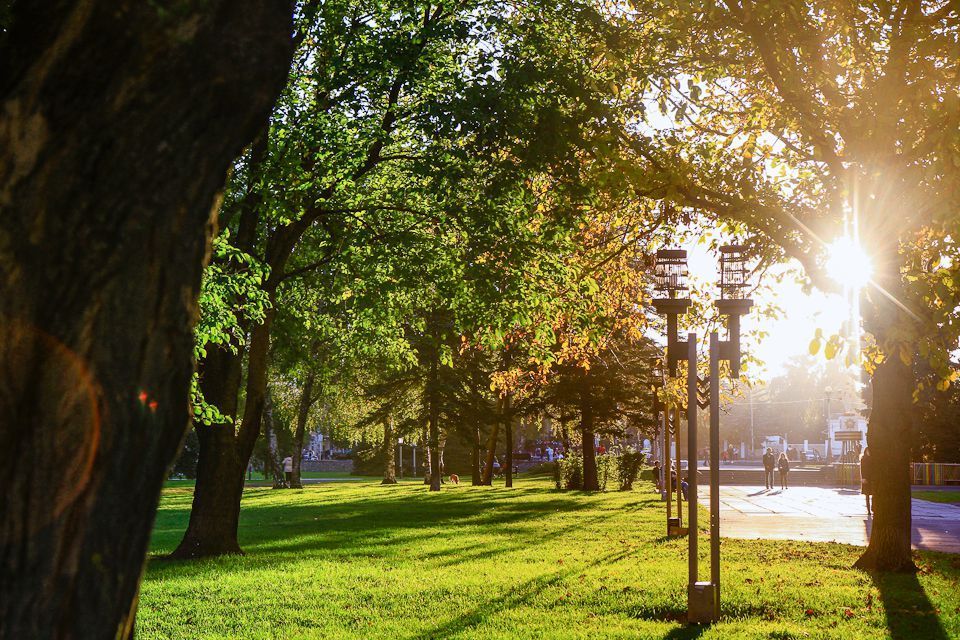 Ночные холода до +11 градусов прогнозируют на Ставрополье