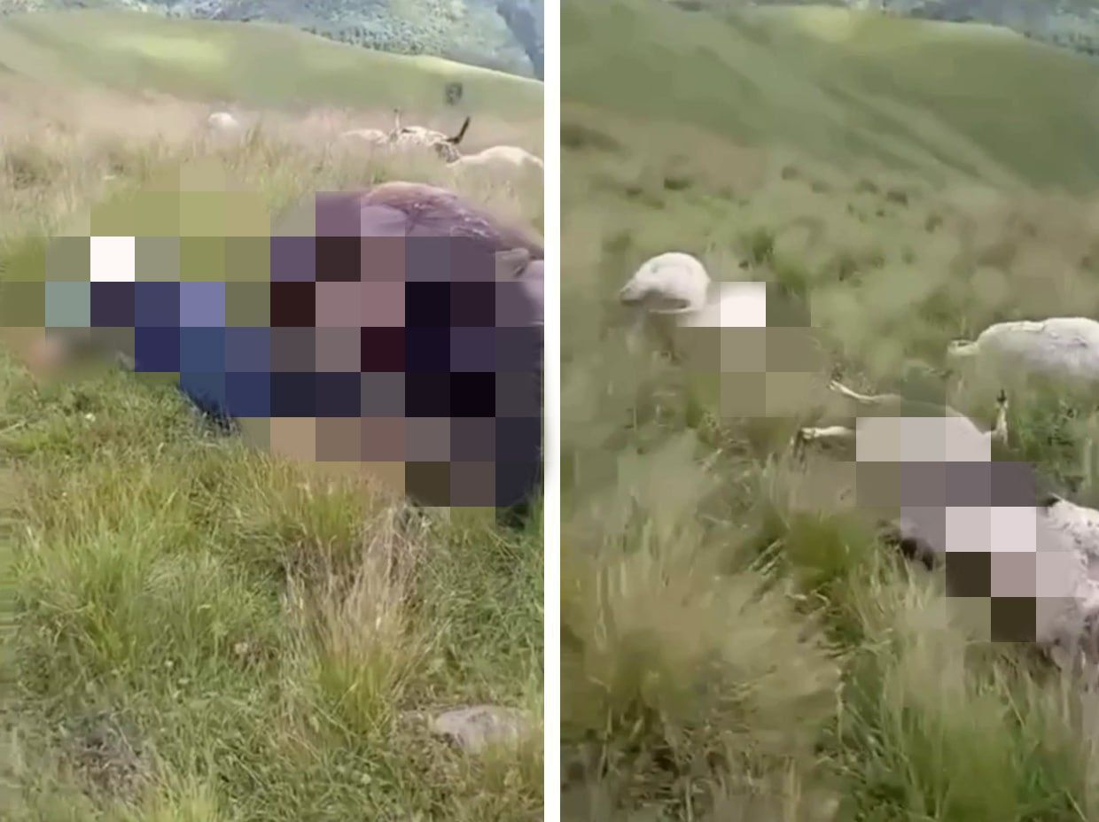 Молния убила мужчину и животных в КЧР