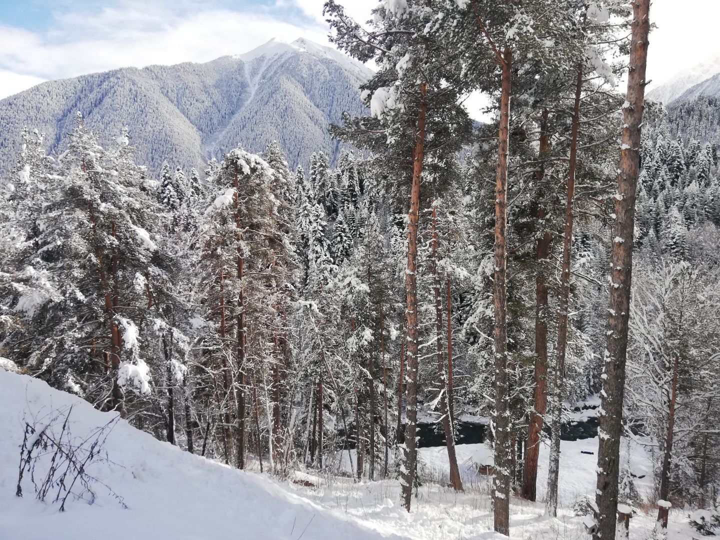 В Сочи на каникулы: билайн запустил скоростной мобильный интернет в горных тоннелях на пути в Красную Поляну