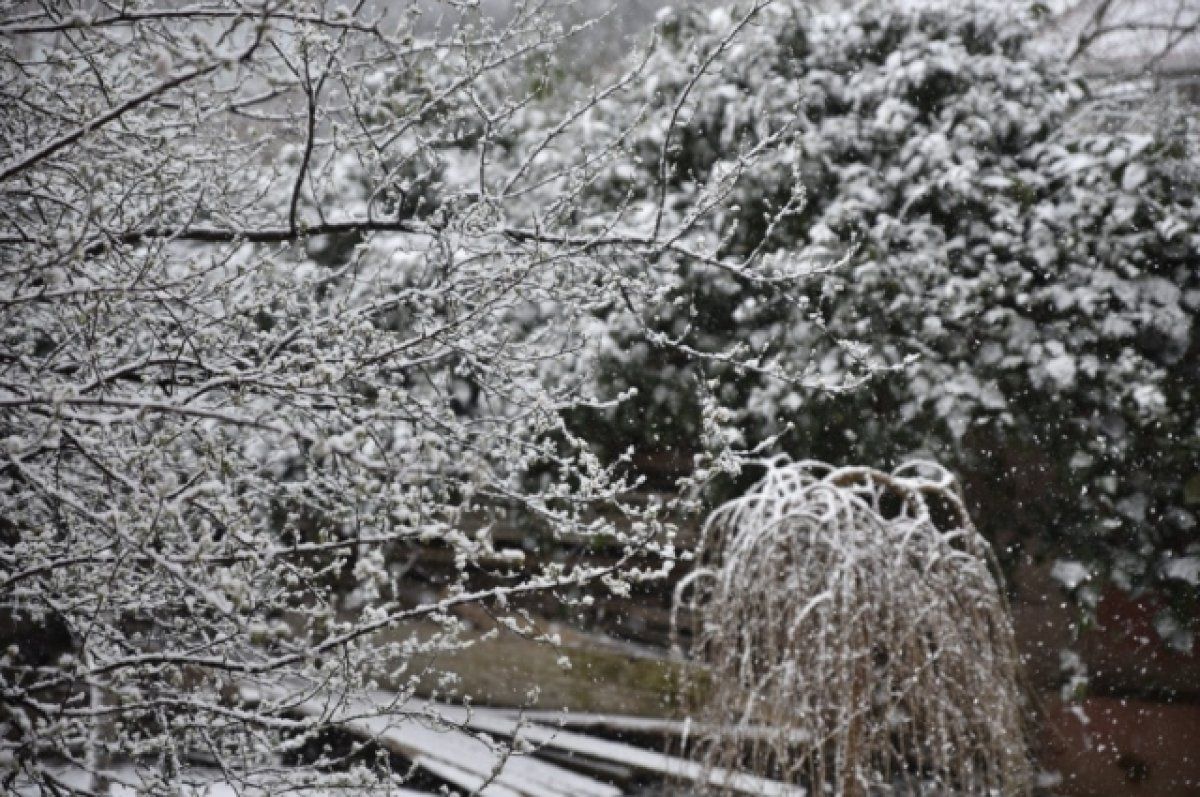 Губернатор Ставрополья поручил коммунальщикам и властям региона подготовиться к непогоде