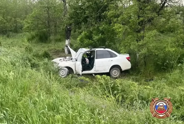 Два человека погибли в результате опрокидывания автомобиля на трассе Ставрополья