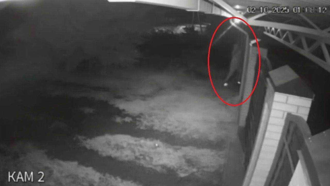 Догхантер орудует в Невинномысске