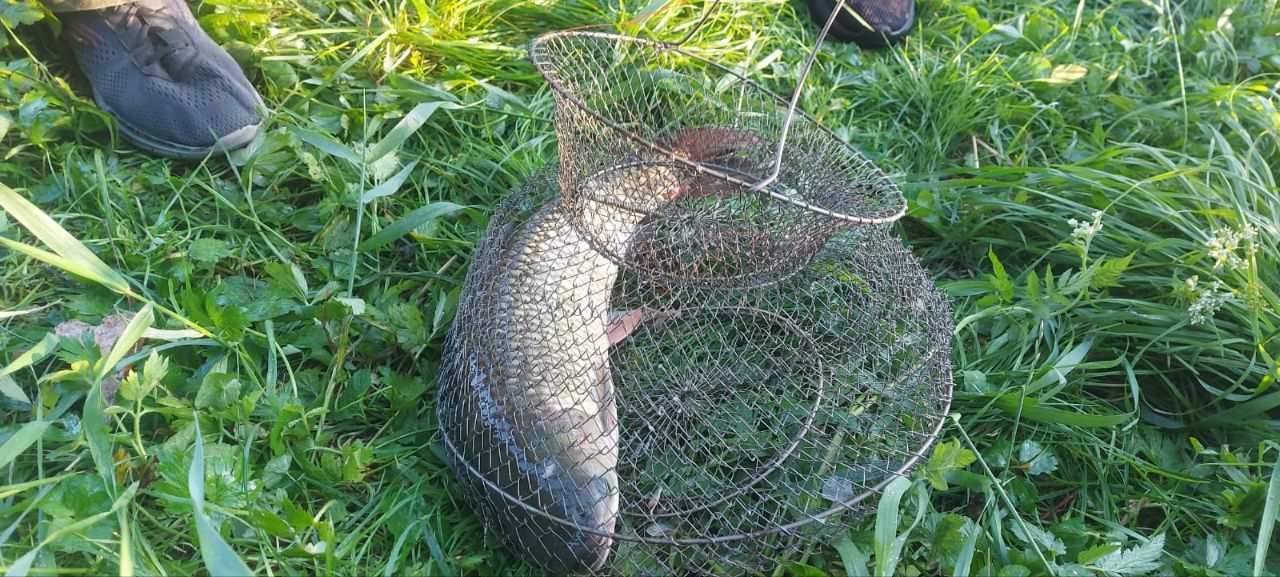 В Ессентуках временно запретили рыбачить на озере