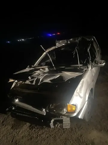 Два человека погибли в ДТП с лошадью на Ставрополье