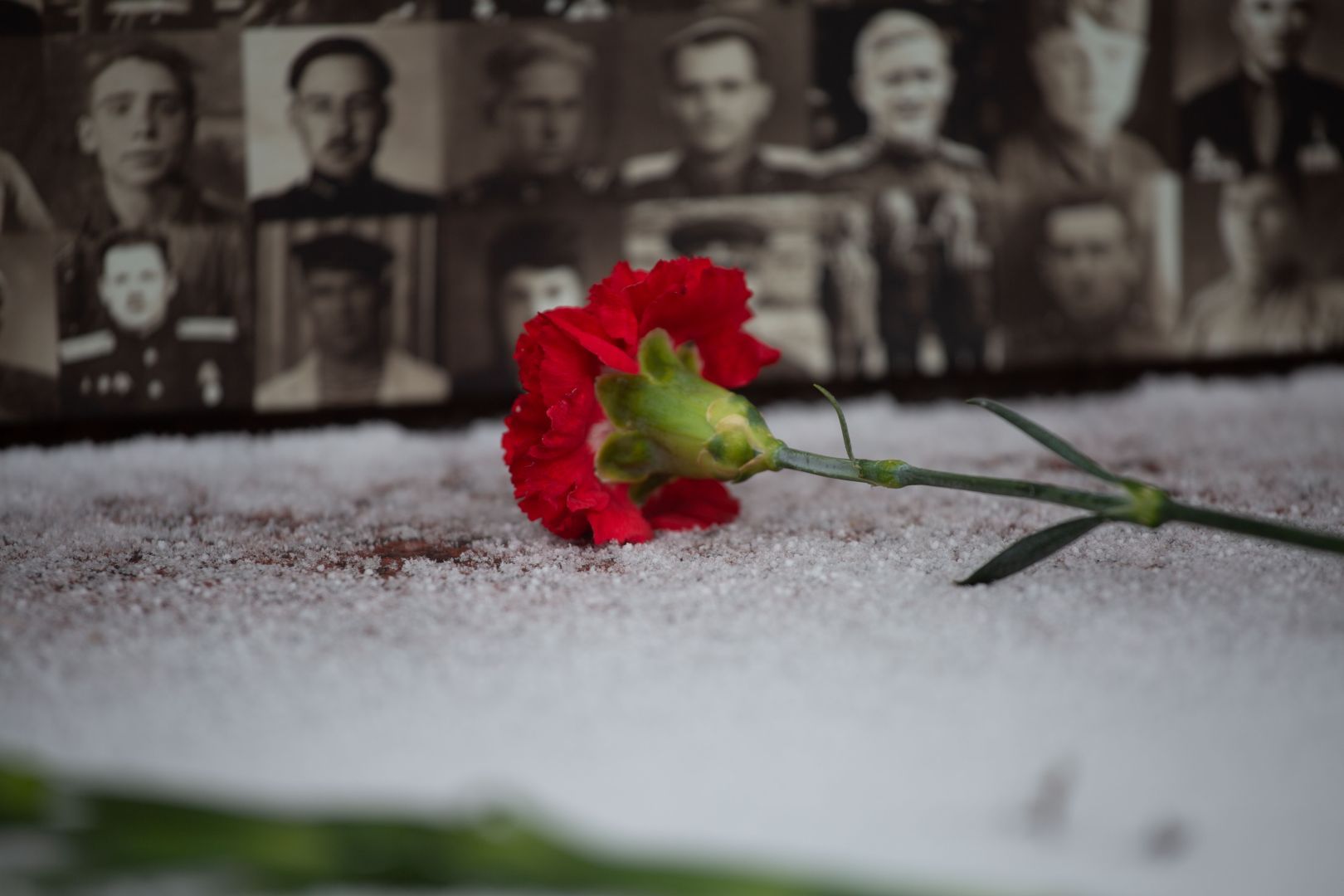 Жителей Ставрополя приглашают почтить память освободителей города от фашистов