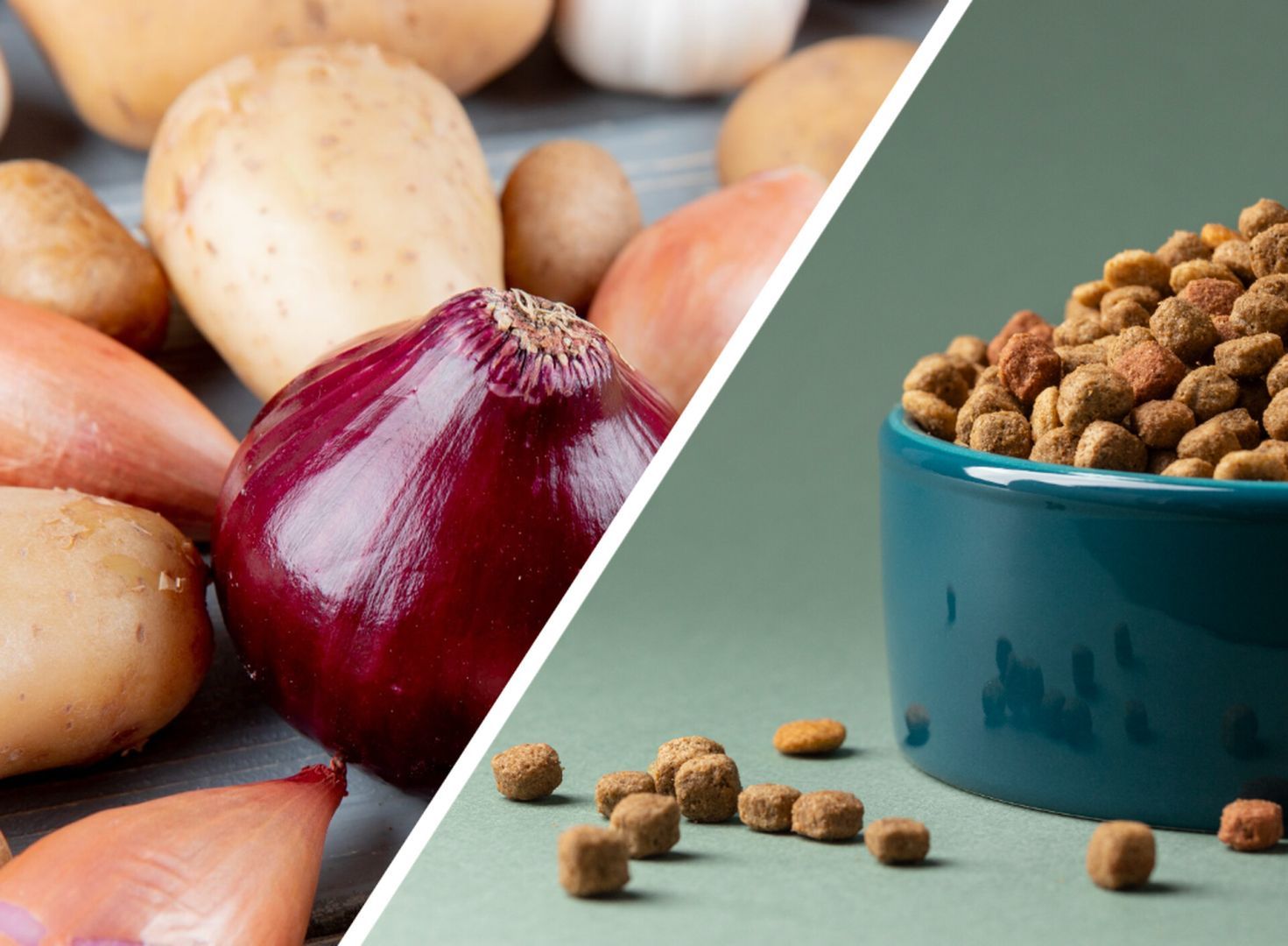 На Ставрополье овощи дорожают, а корма для животных дешевеют