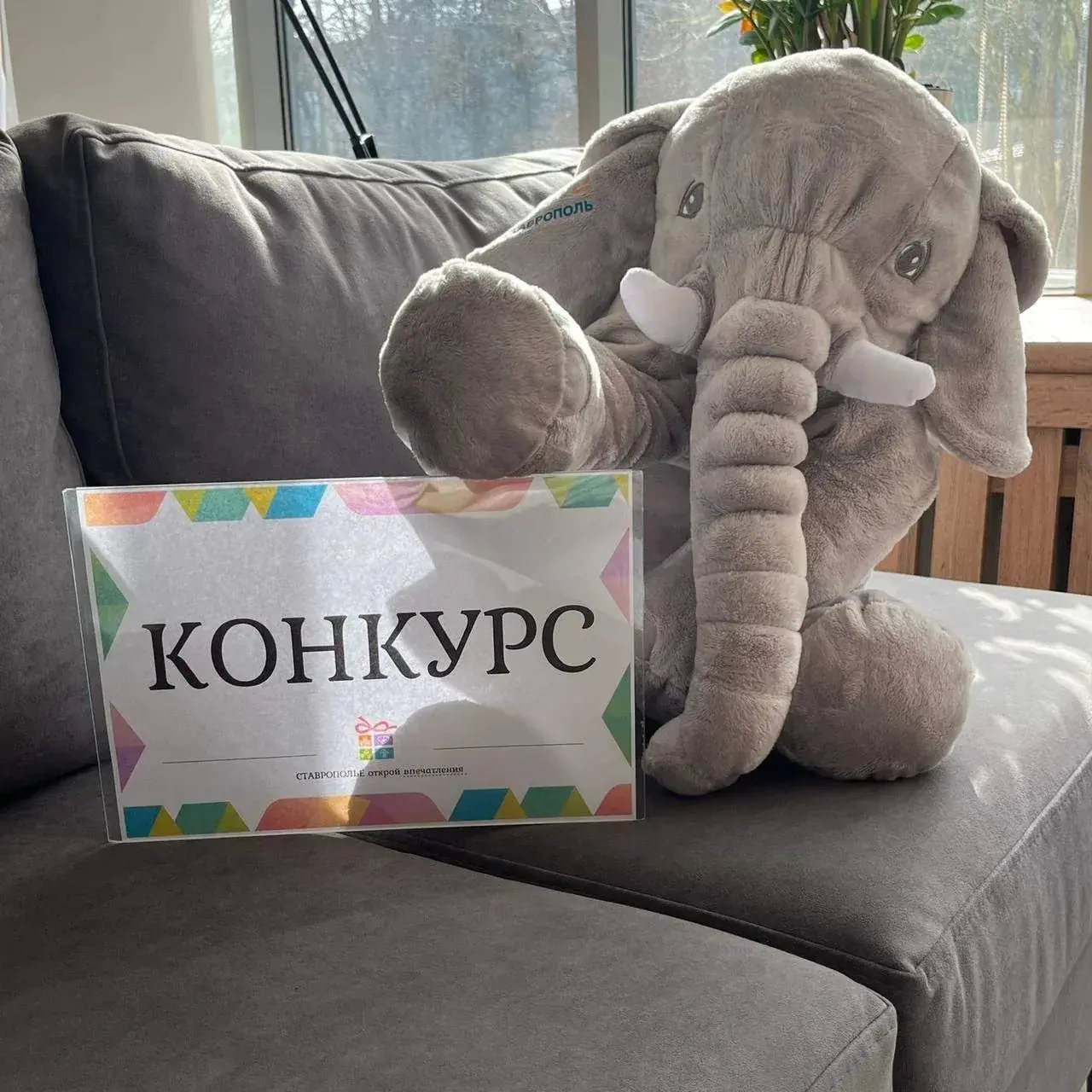 В Ставрополе объявили конкурс на создание краеведческого алфавита-раскраски