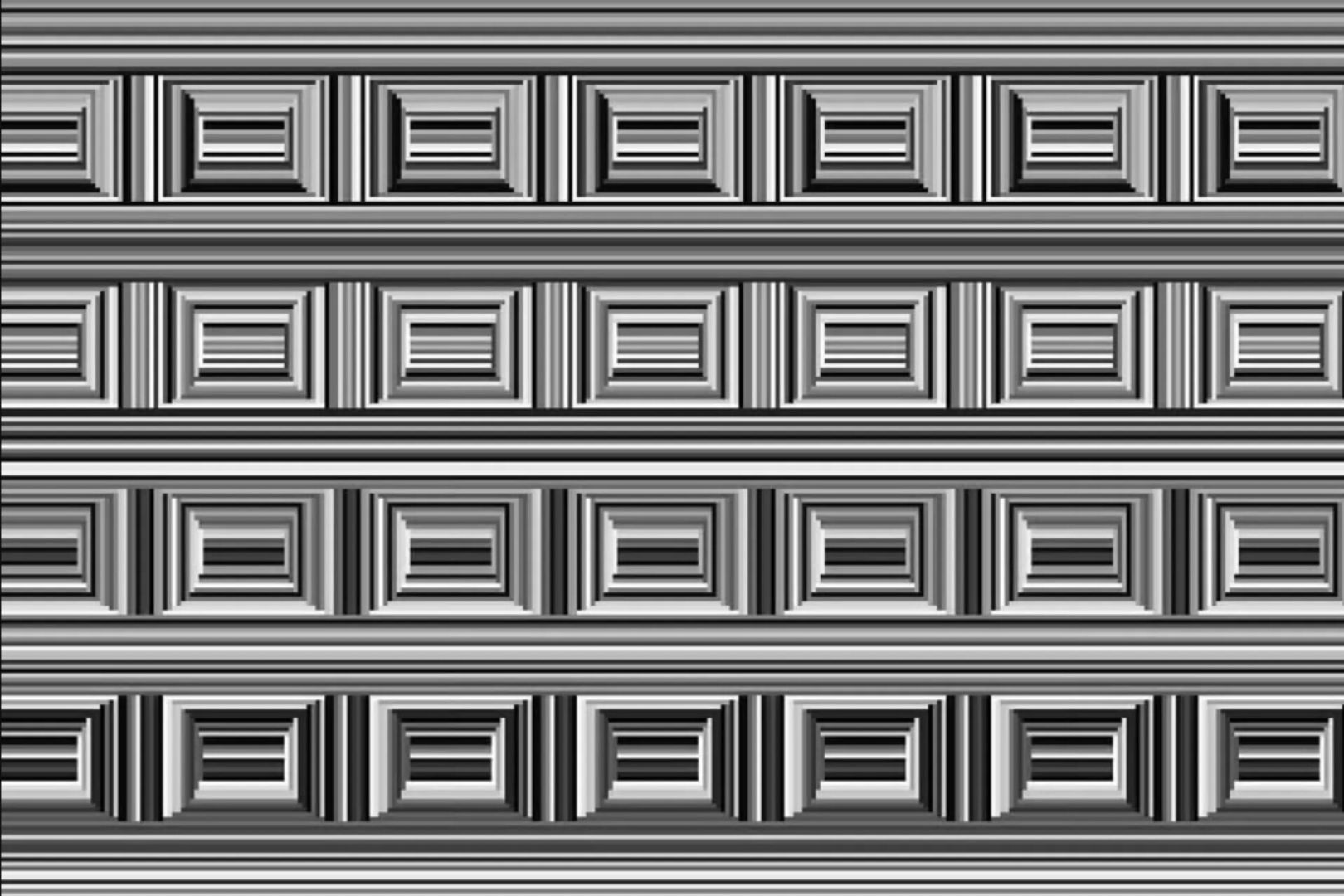 На фото спрятались круги — найдёте их за минуту? Тест, который пройдёт только интеллектуальная элита