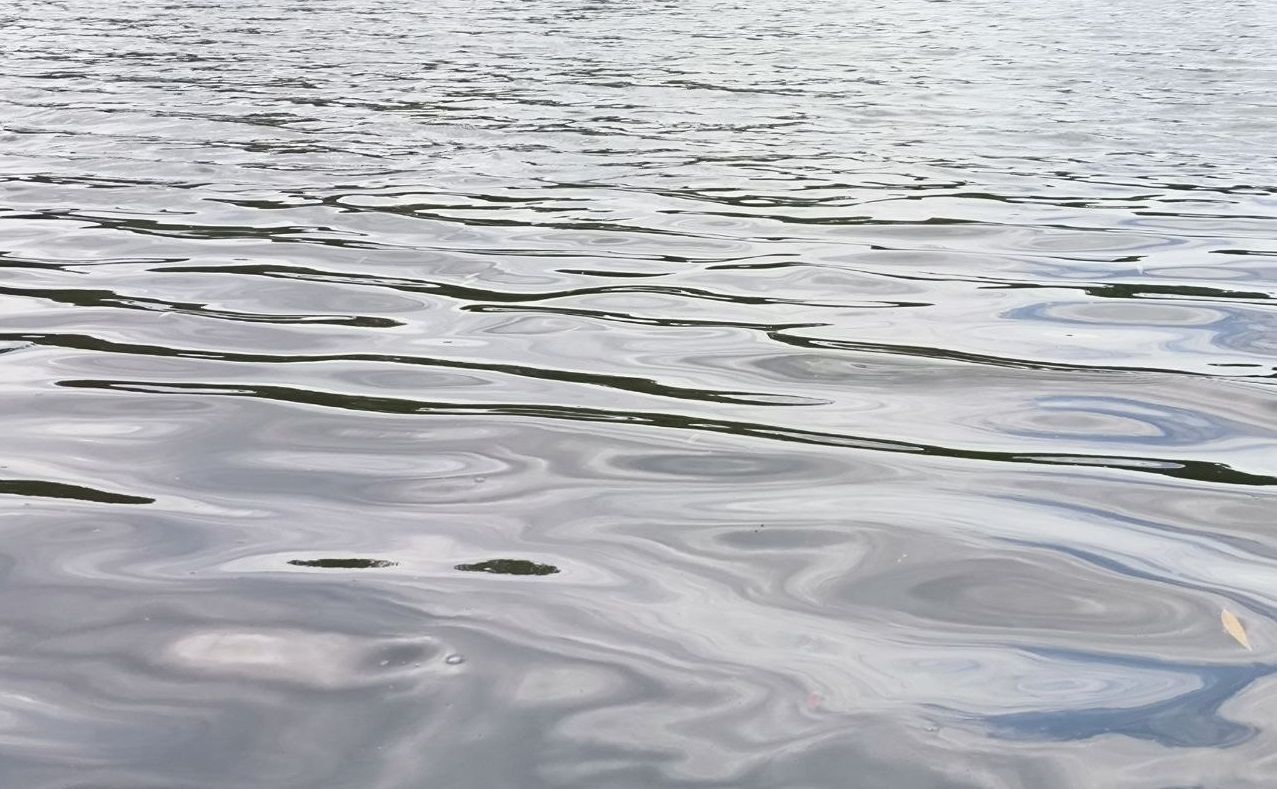 Женщина утонула в ессентукском озере