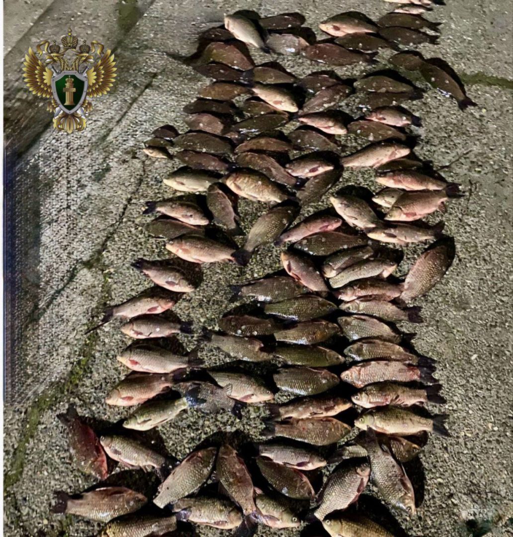 Ставрополец ответит рублем за незаконную ловлю карасей