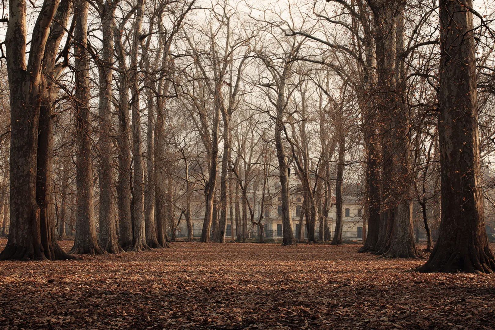 Климатологи предсказали аномально тёплую зиму в России