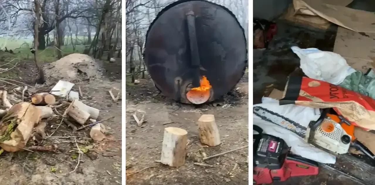 Пять жителей Ставрополья получили реальные сроки за незаконную рубку леса
