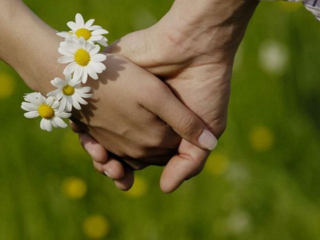 В России законодательно закрепили День семьи, любви и верности В России законодательно закрепили День семьи, любви и верности