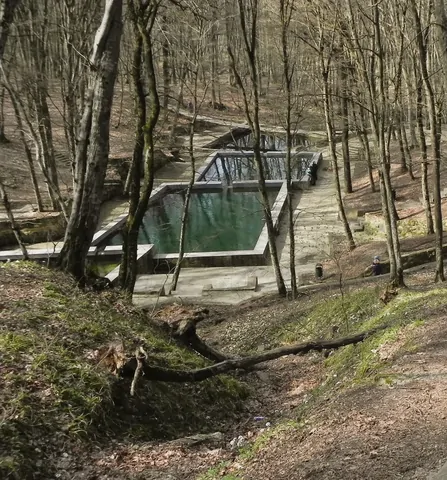 Семь туристических маршрутов появятся в Таманском лесу Ставрополя