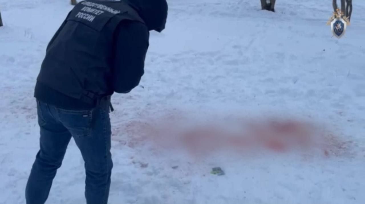 Дело о гибели 9-летней девочки от нападения собак передано в суд