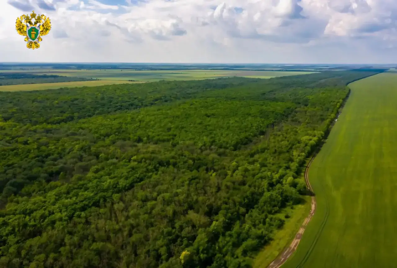 В ставропольском заказнике запретили вырубать деревья