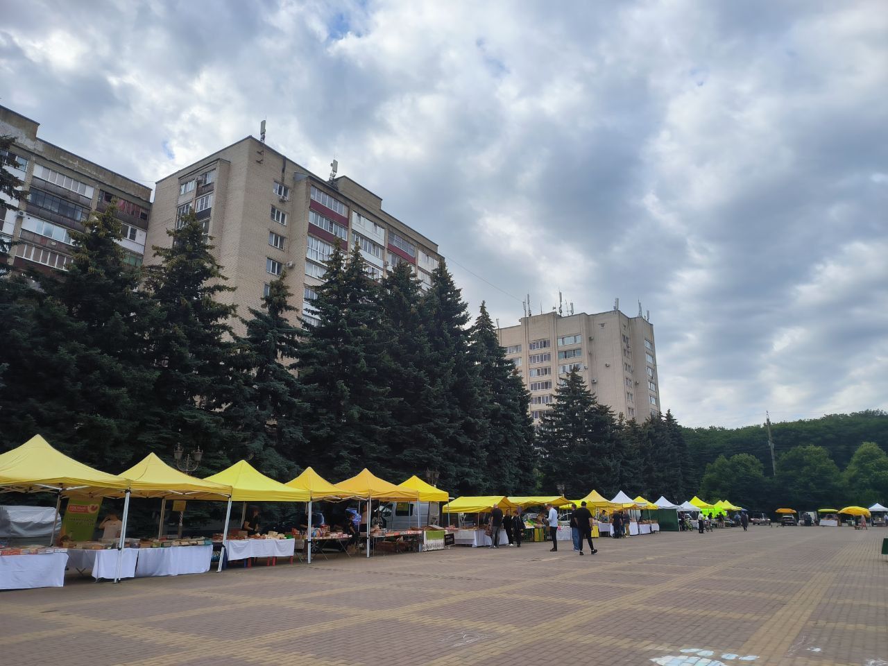 Овощи, макаронные и мясные изделия подешевели за неделю на Ставрополье