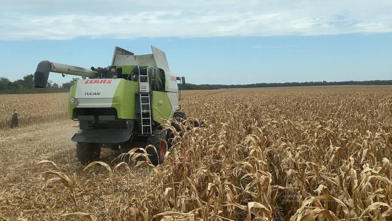 За прошлый аграрный сезон ставропольские фермеры застраховали 900 тысяч га посевов