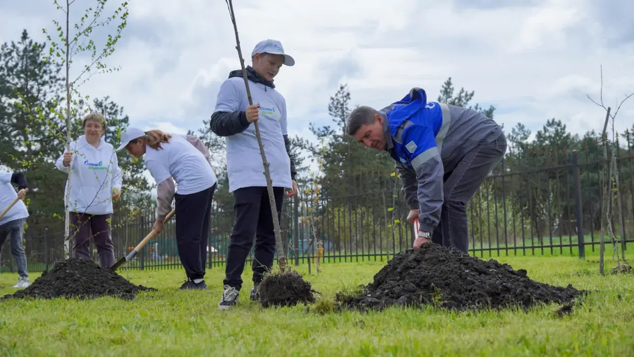 На Ставрополье газовики высадили деревья в рамках акции «Сад памяти»
