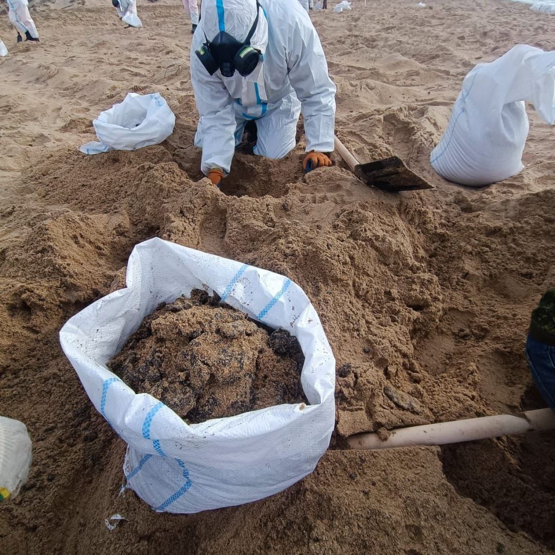 Ущерб, причинённый экологии разливом мазута в Чёрном море, составил 85 млрд рублей