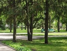 В Ставрополе появятся новые скверы и зоны отдыха В Ставрополе появятся новые скверы и зоны отдыха