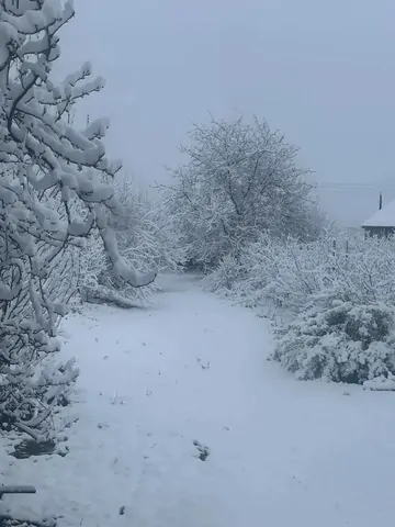 Часть Кавминвод покрылась снегом