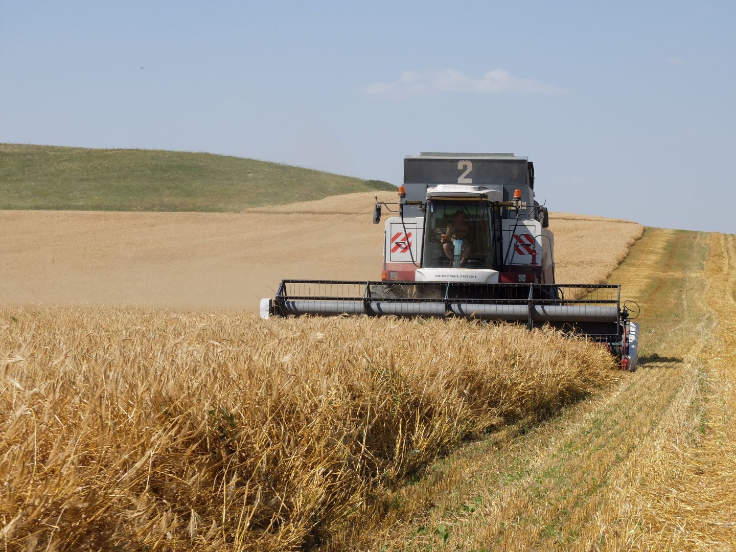 В Предгорном округе собрали четверть урожая зерновых