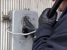 Школьники решили проверить оперативность полицейских Школьники решили проверить оперативность полицейских
