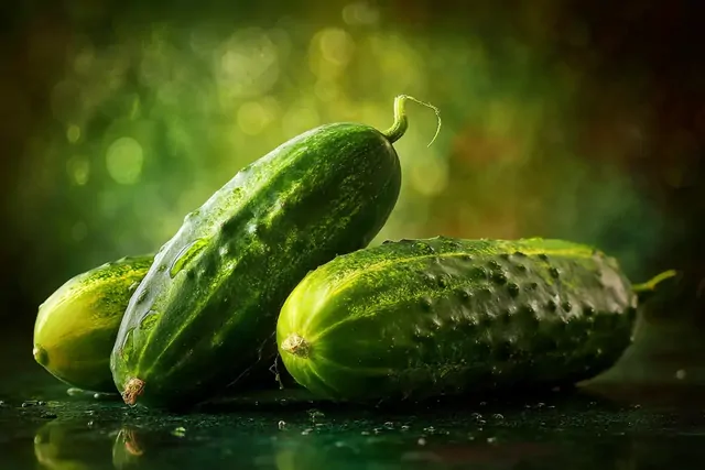 Огурцы в марте — единственный месяц, когда тепличные вкуснее грунтовых: вот по какому признаку их различить на прилавке