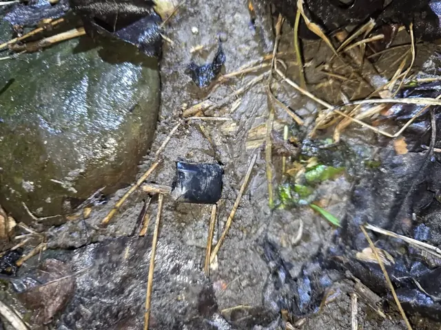 В Ессентуках задержали двух наркозакладчиков