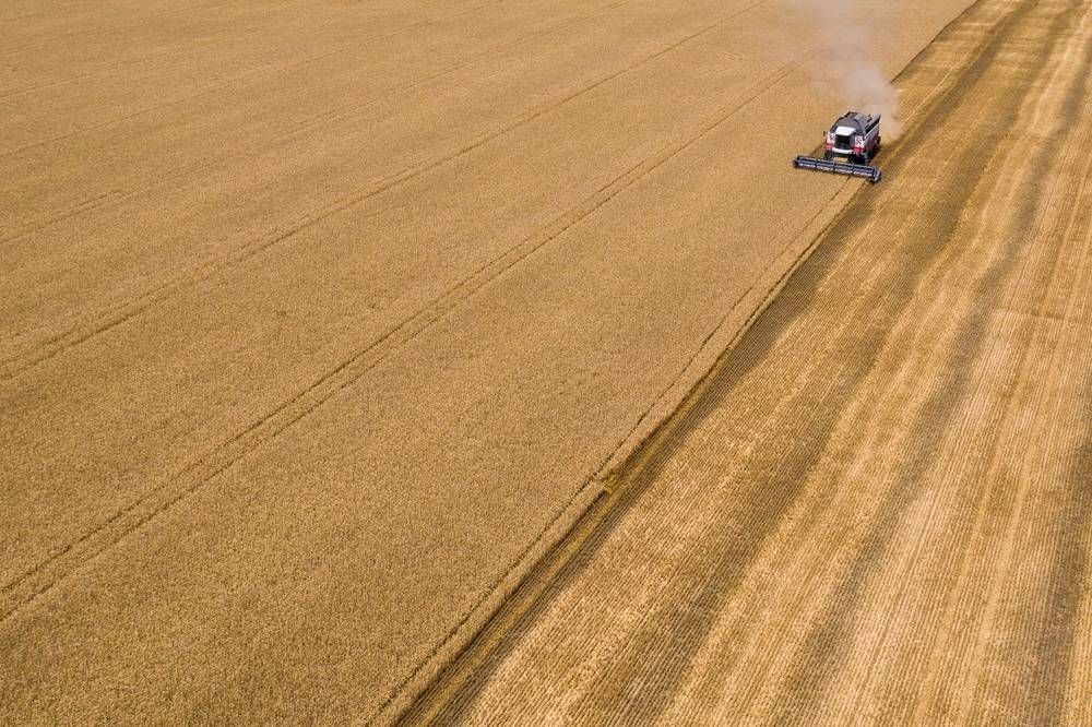 Ставропольские аграрии собрали более 8,5 млн тонн зерна