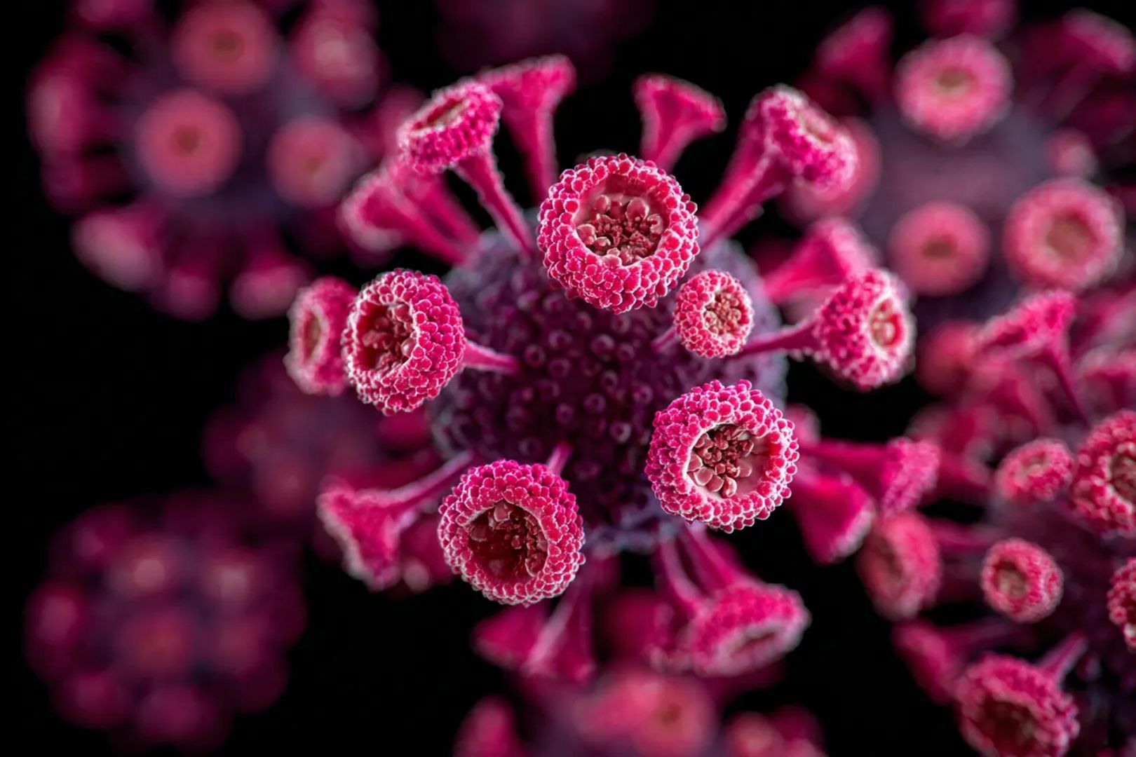 Самые опасные вирусы этой осени — и как защититься