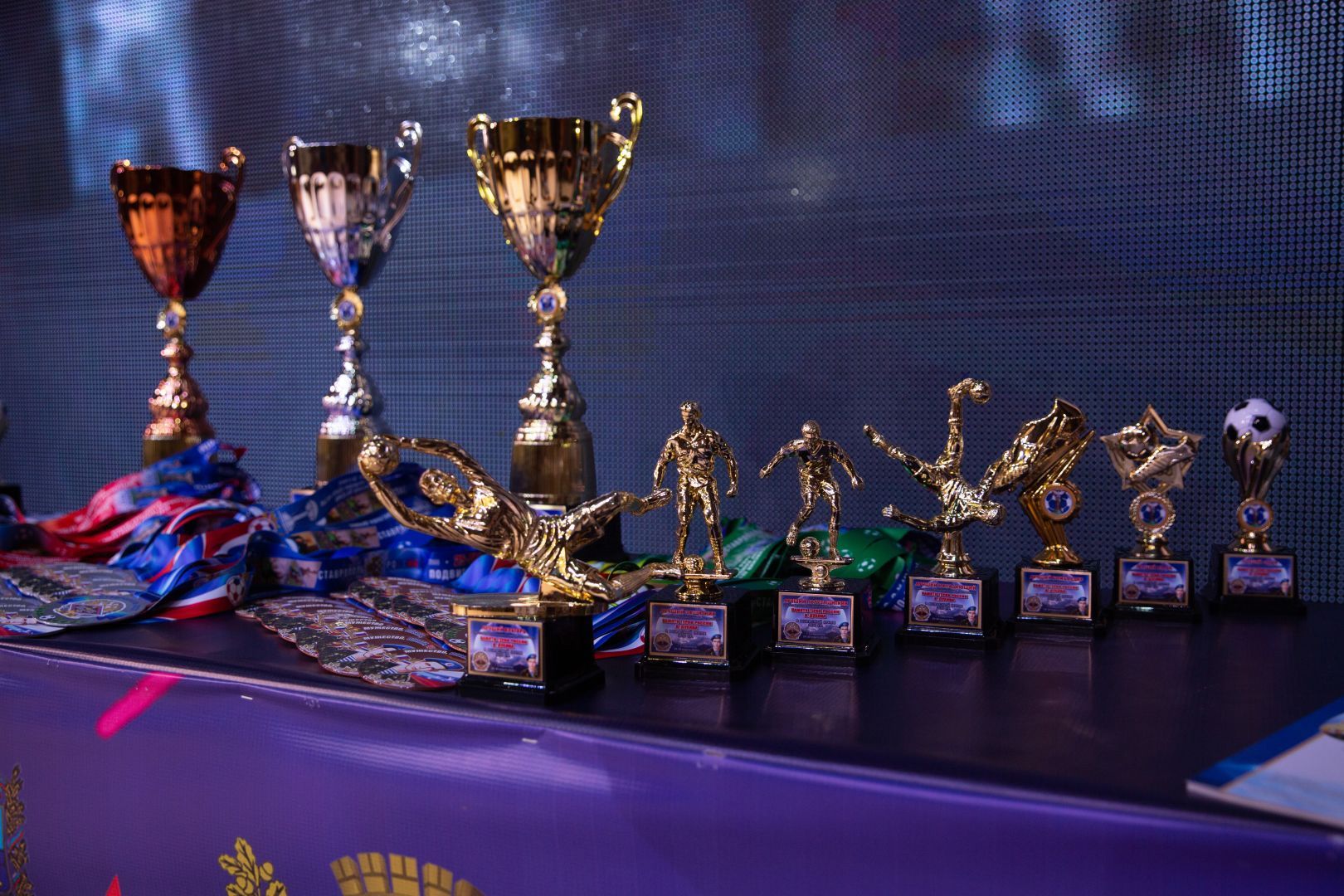 В 2025 году спортсмены Ставрополя завоевали свыше 2,8 тыс. медалей