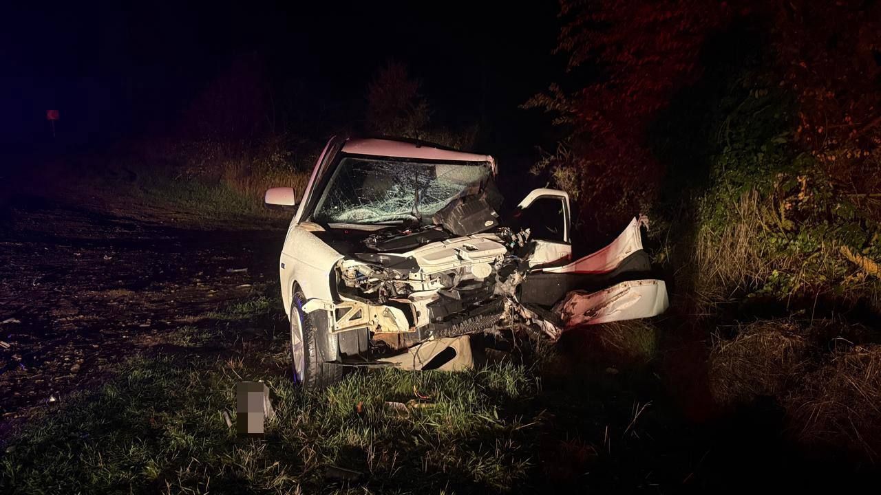 Ребенок и двое взрослых пострадали в аварии на Ставрополье