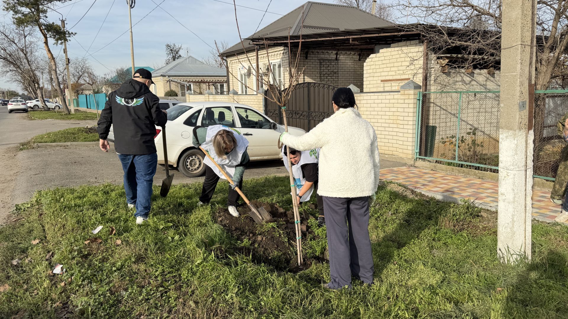 В Кочубеевском округе стартовала самая масштабная за 40 лет высадка деревьев