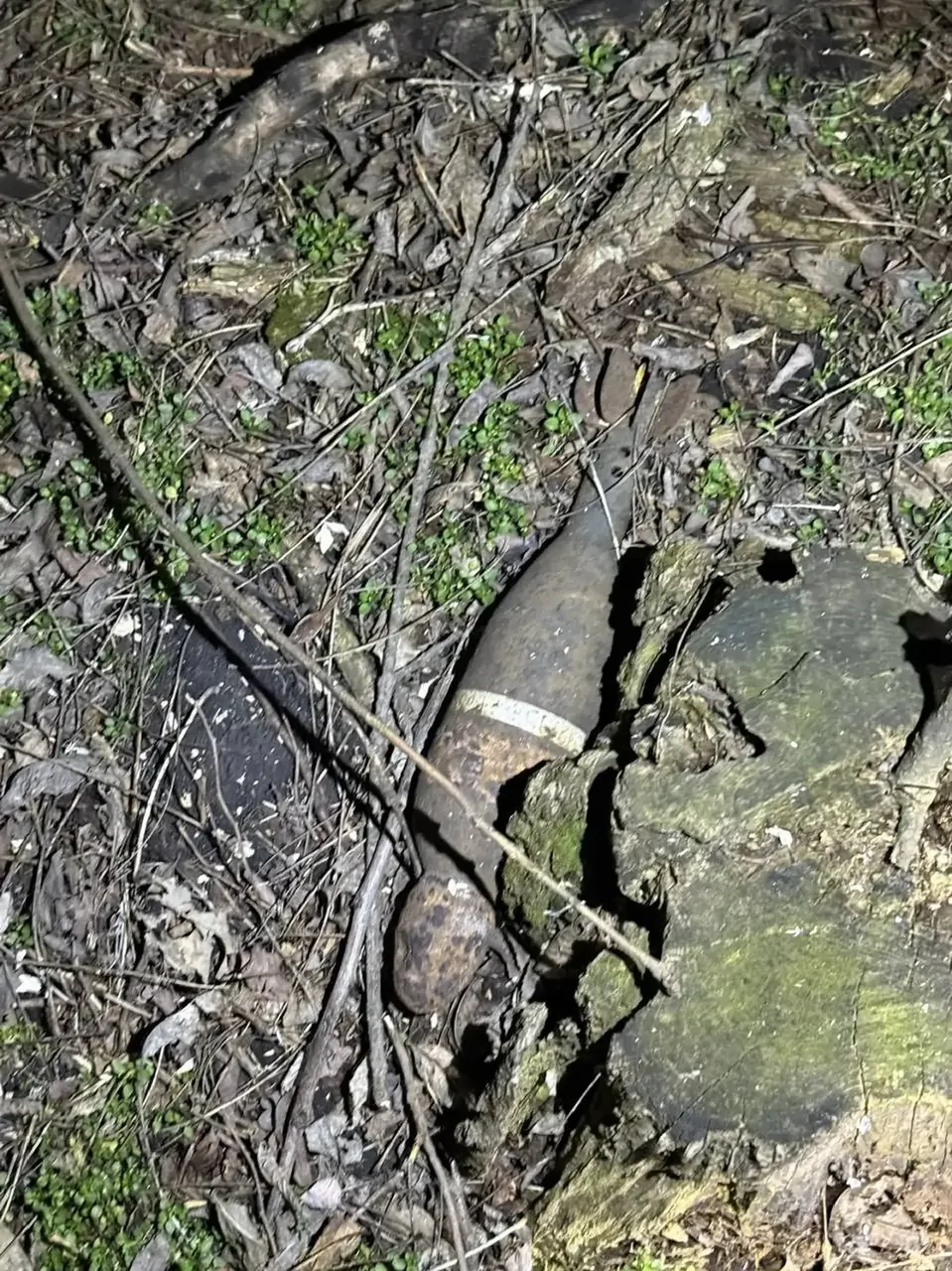 Мину времён Великой Отечественной войны нашли возле кладбища в Предгорном округе