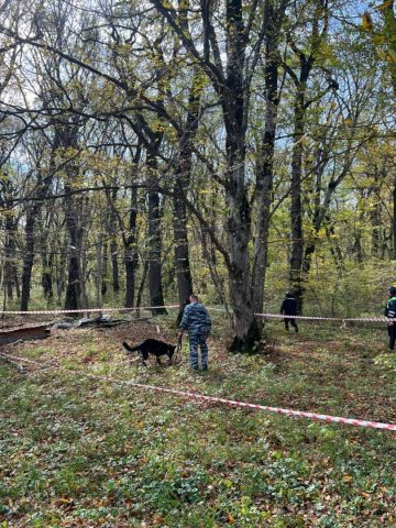 Миномётную мину обнаружили в окрестностях Железноводска