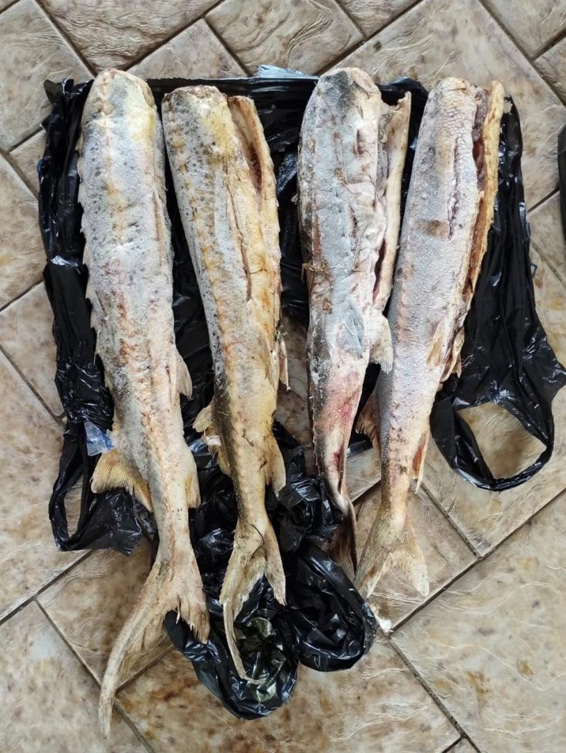 Ставропольчанке грозит до 6 лет за торговлю краснокнижной рыбой