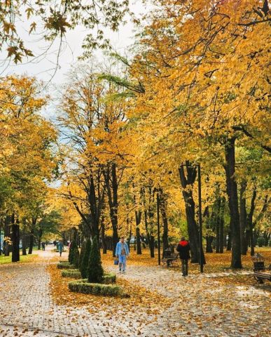 До +18 градусов потеплеет на Ставрополье в начале недели