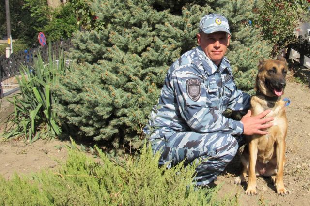 На Старополье служебная собака помогла задержать подозреваемого в краже На Старополье служебная собака помогла задержать подозреваемого в краже