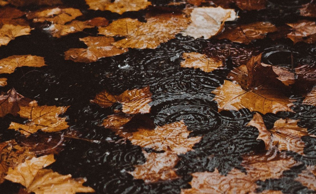 Очень сильный дождь прогнозируют 26 октября на Ставрополье