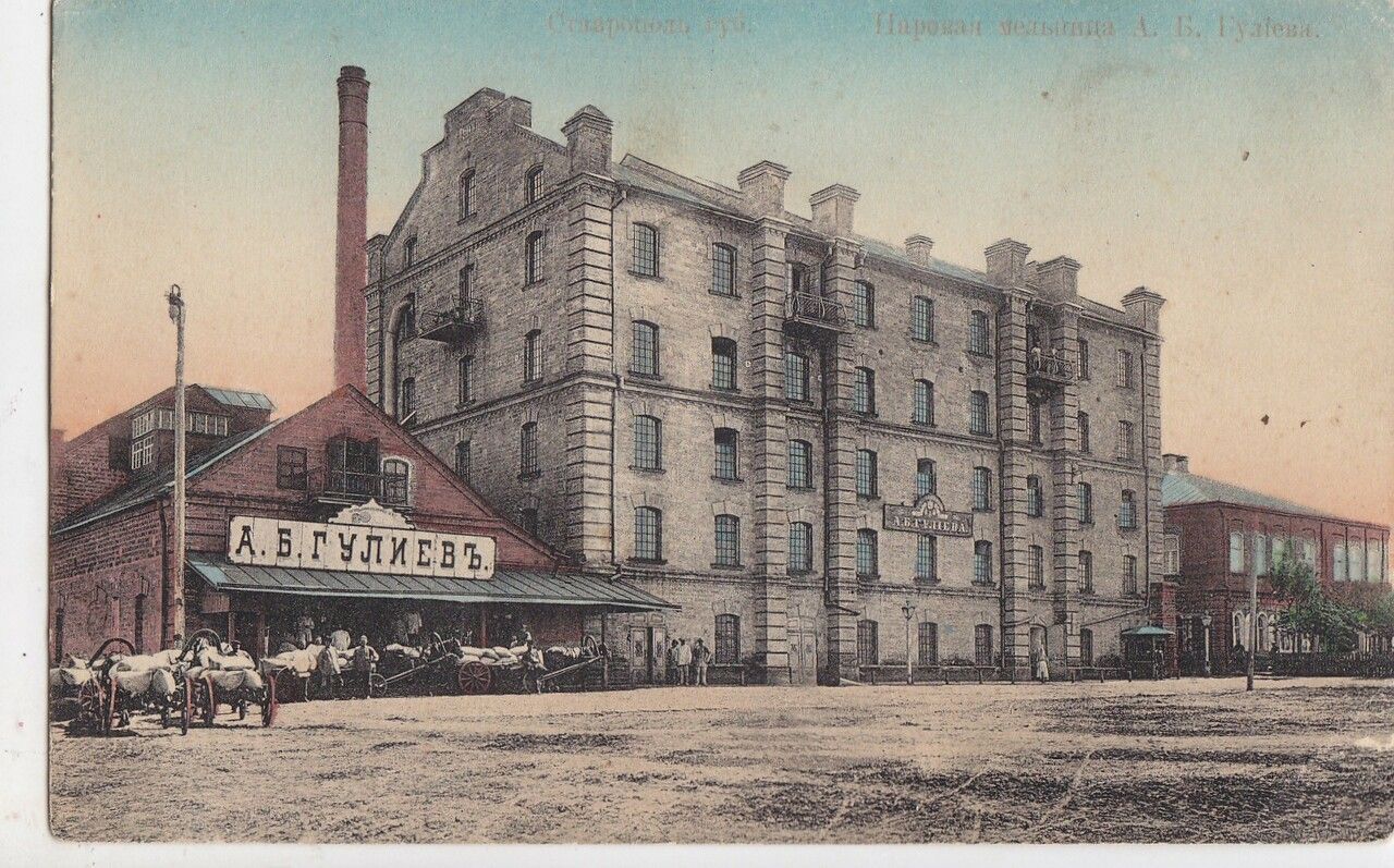 Ставропольчанка представила новое исследование мельницы Баранова-Гулиева