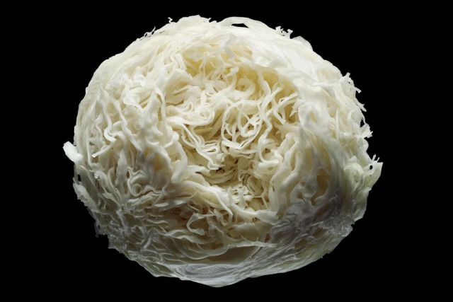 Обнаружено неожиданное свойство квашеной капусты для суставов