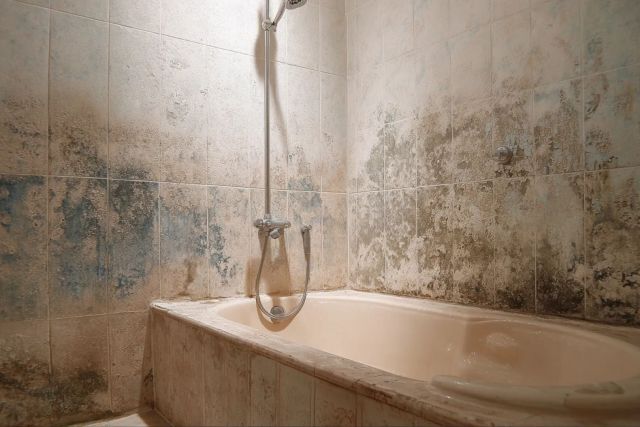 Как избавиться от плесени в ванной раз и навсегда: строители рассказали, в чем истинная причина — и это не влажность