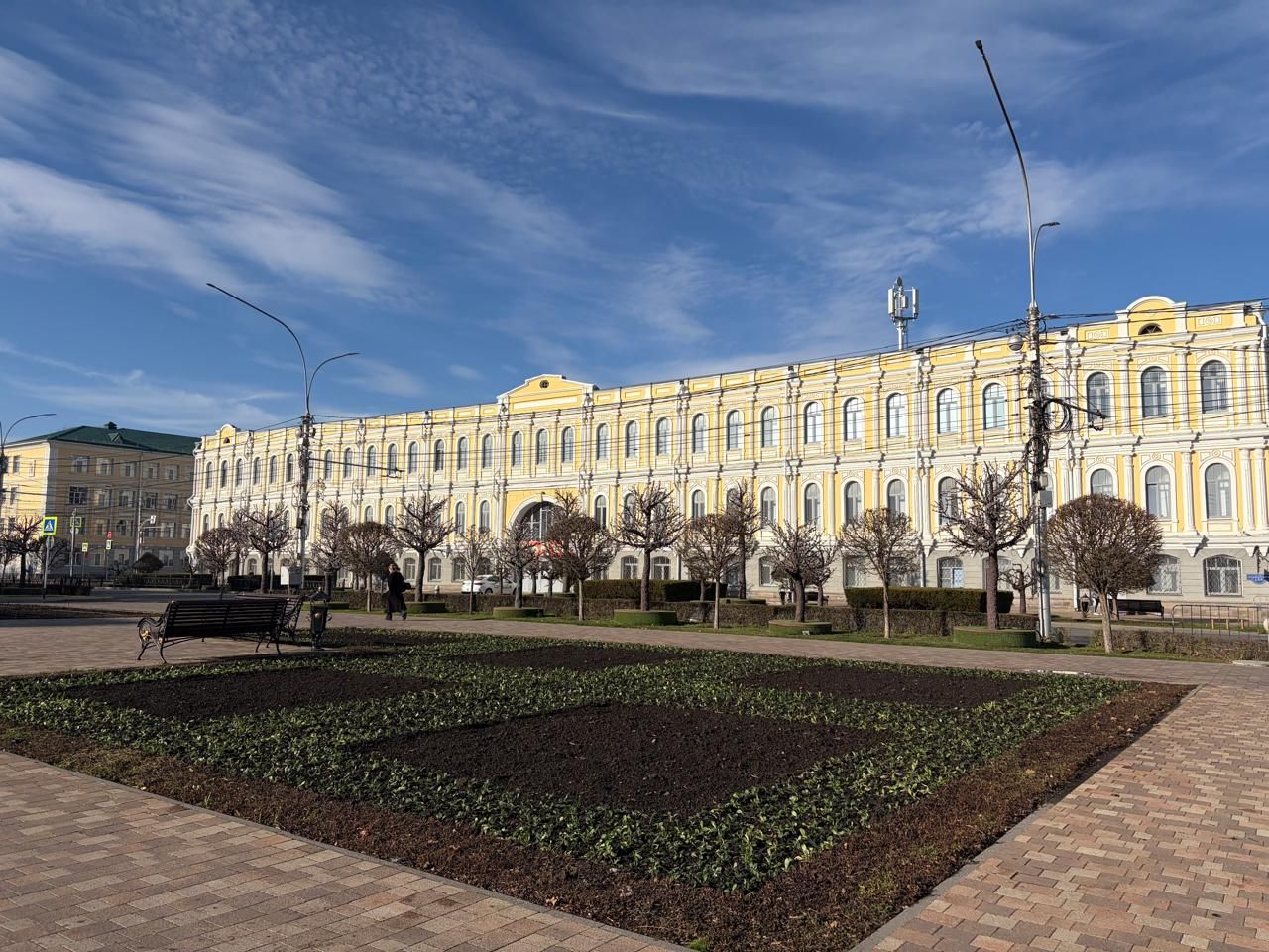 В ставропольских клумбах перезимуют более 200 тысяч цветов