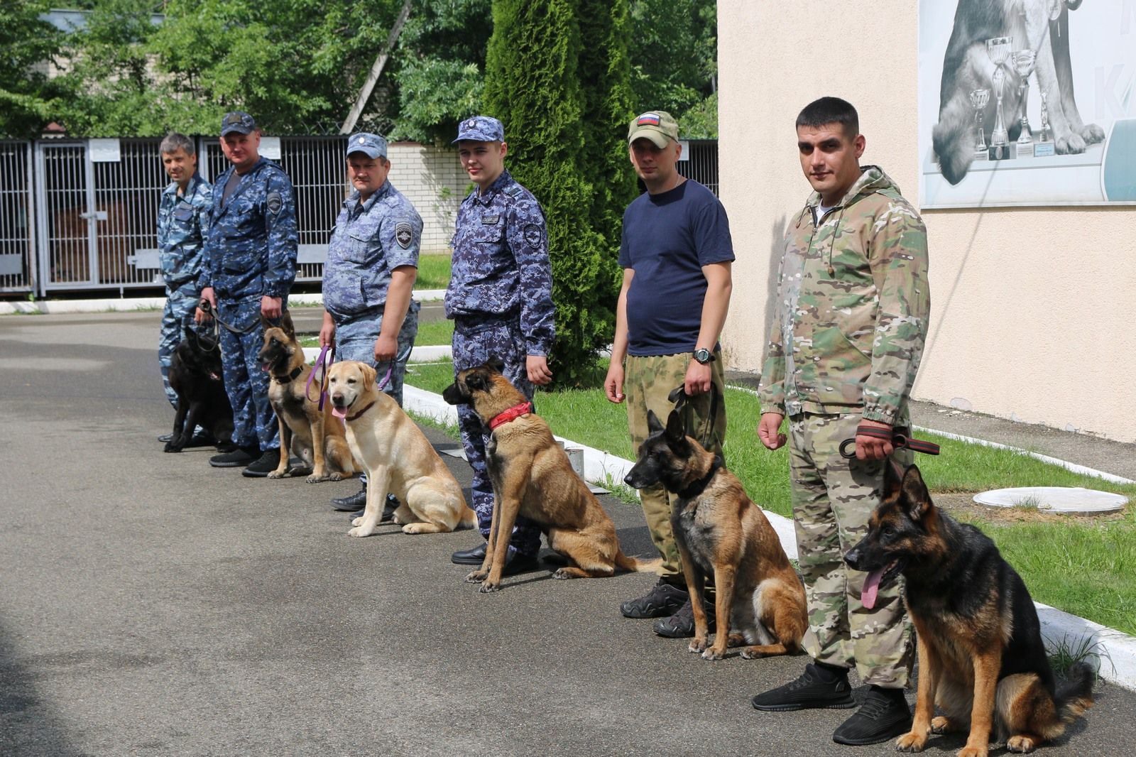 Служебные собаки помогли раскрыть 165 преступлений на Ставрополье